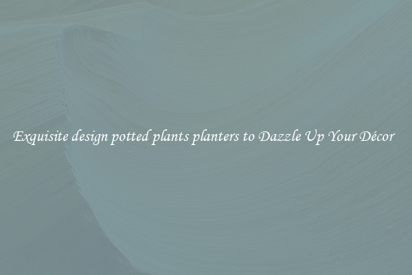 Exquisite design potted plants planters to Dazzle Up Your Décor  