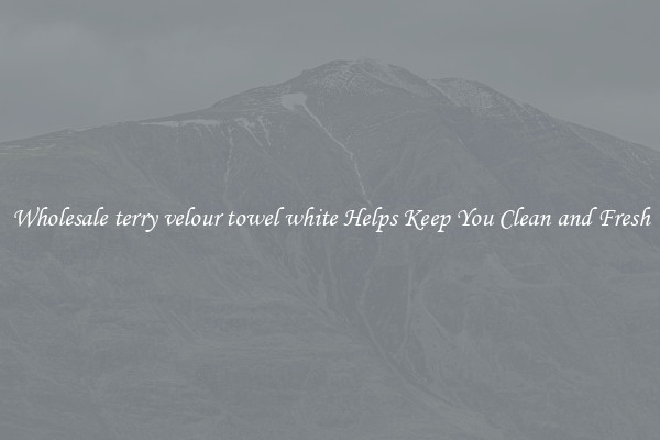 Wholesale terry velour towel white Helps Keep You Clean and Fresh