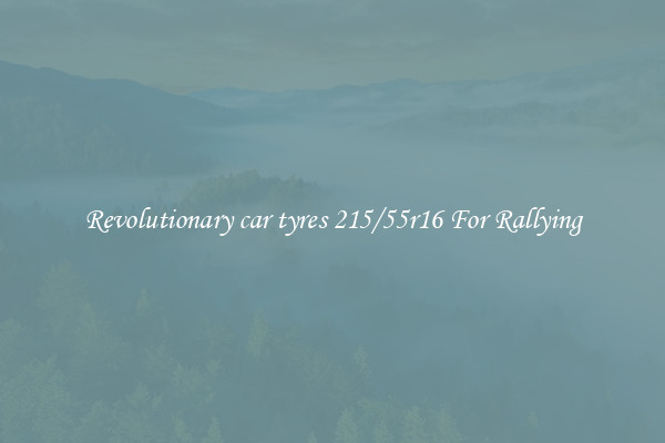 Revolutionary car tyres 215/55r16 For Rallying