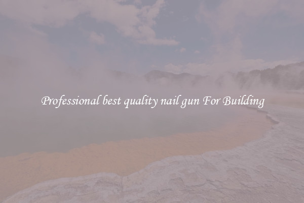Professional best quality nail gun For Building