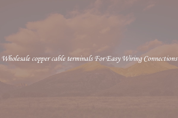Wholesale copper cable terminals For Easy Wiring Connections