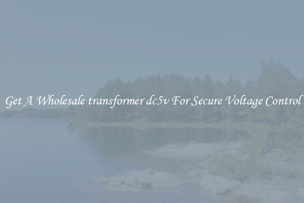 Get A Wholesale transformer dc5v For Secure Voltage Control