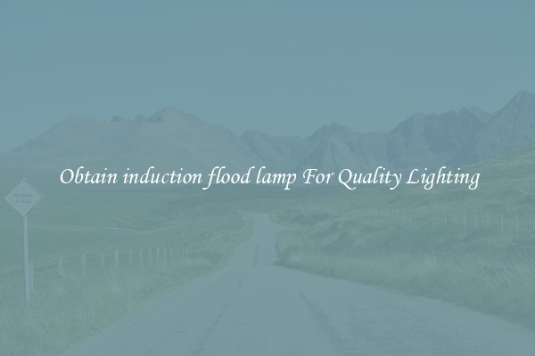 Obtain induction flood lamp For Quality Lighting