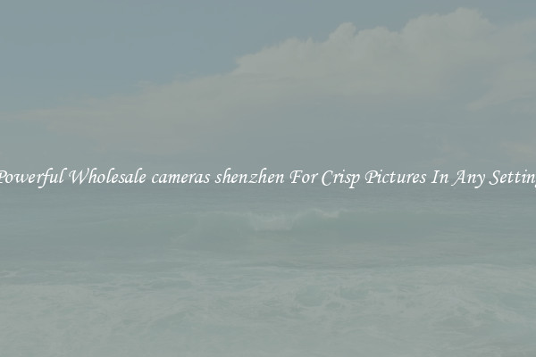 Powerful Wholesale cameras shenzhen For Crisp Pictures In Any Setting