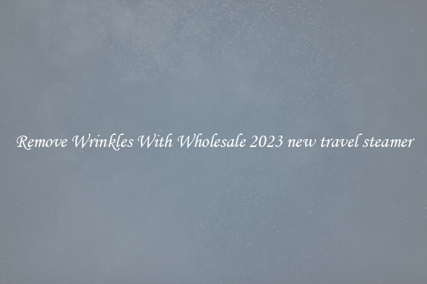 Remove Wrinkles With Wholesale 2023 new travel steamer