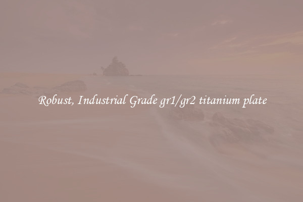 Robust, Industrial Grade gr1/gr2 titanium plate