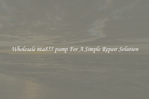 Wholesale nta855 pump For A Simple Repair Solution