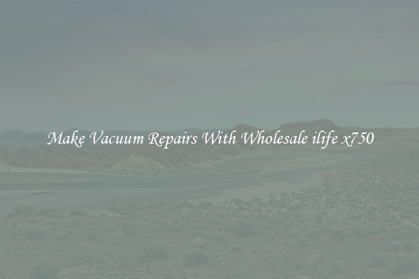 Make Vacuum Repairs With Wholesale ilife x750