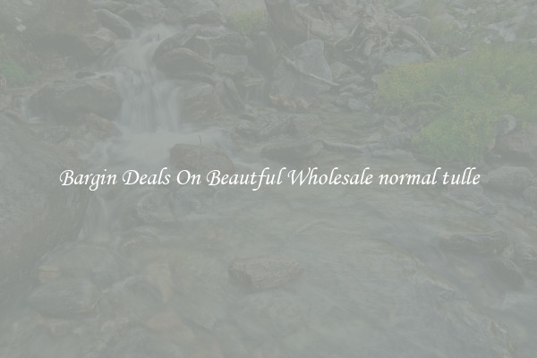 Bargin Deals On Beautful Wholesale normal tulle