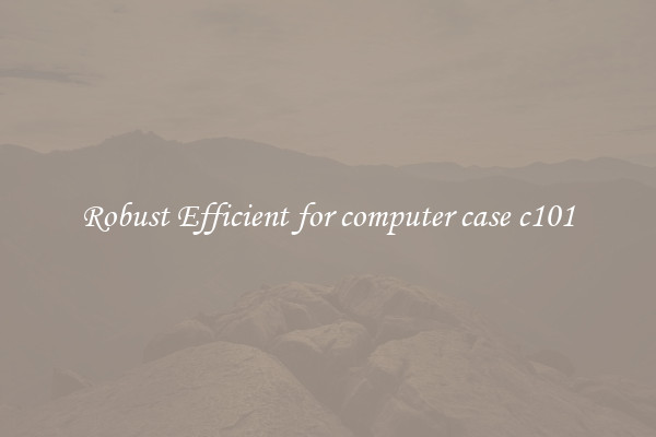 Robust Efficient for computer case c101