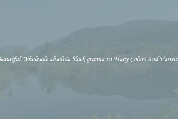 Beautiful Wholesale absolute black granite In Many Colors And Varieties