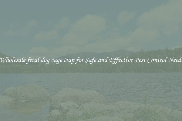 Wholesale feral dog cage trap for Safe and Effective Pest Control Needs