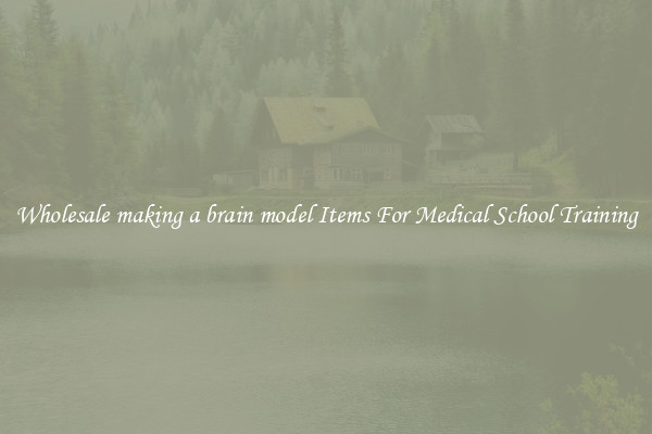 Wholesale making a brain model Items For Medical School Training