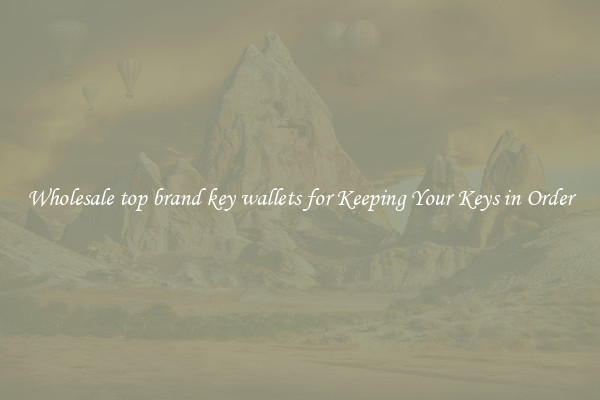 Wholesale top brand key wallets for Keeping Your Keys in Order