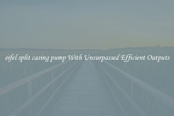 eifel split casing pump With Unsurpassed Efficient Outputs