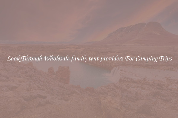 Look Through Wholesale family tent providers For Camping Trips