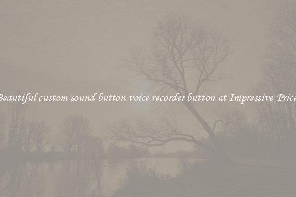 Beautiful custom sound button voice recorder button at Impressive Prices