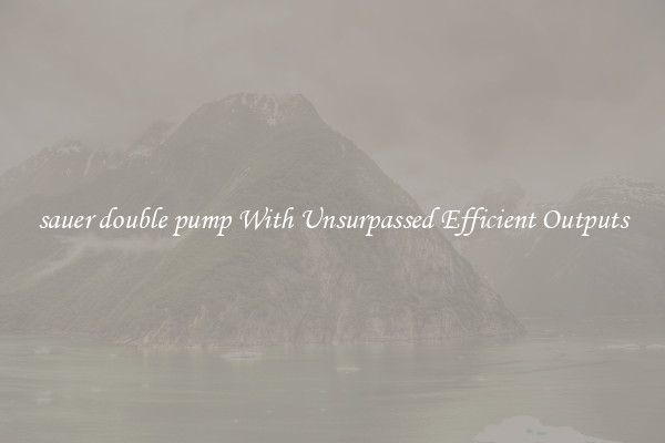 sauer double pump With Unsurpassed Efficient Outputs