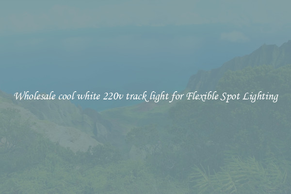Wholesale cool white 220v track light for Flexible Spot Lighting