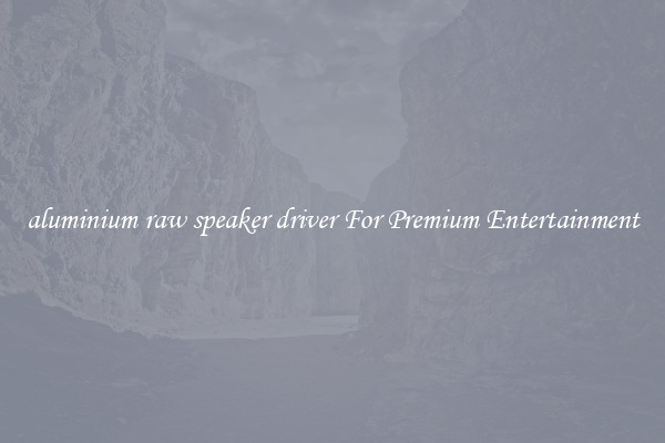 aluminium raw speaker driver For Premium Entertainment