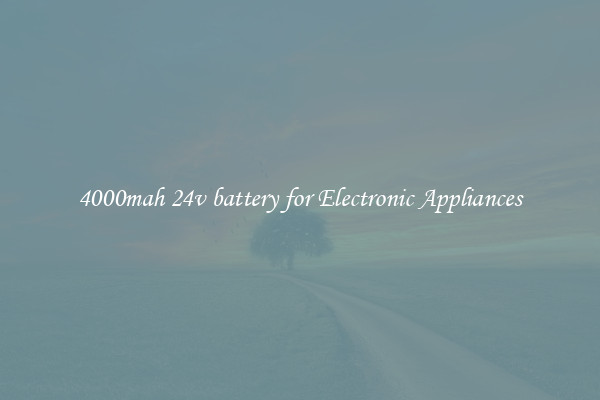 4000mah 24v battery for Electronic Appliances
