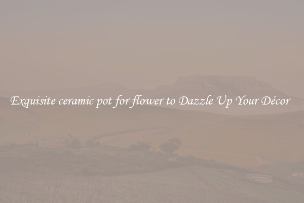 Exquisite ceramic pot for flower to Dazzle Up Your Décor  
