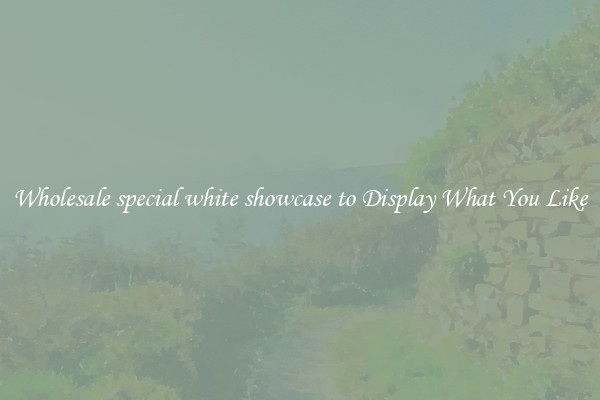 Wholesale special white showcase to Display What You Like
