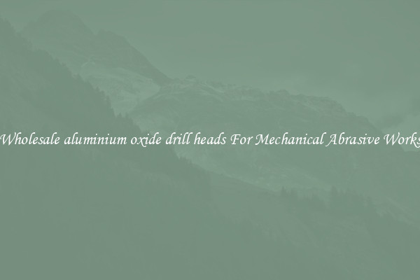 Wholesale aluminium oxide drill heads For Mechanical Abrasive Works