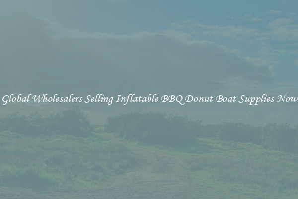 Global Wholesalers Selling Inflatable BBQ Donut Boat Supplies Now